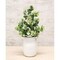 Set of 3 Seeded Baby Eucalyptus Wreath Artificial Greenery Door Wreath with Faux Leaves and Plastic Seeds Farmhouse Wall Decor 15 Inch Green